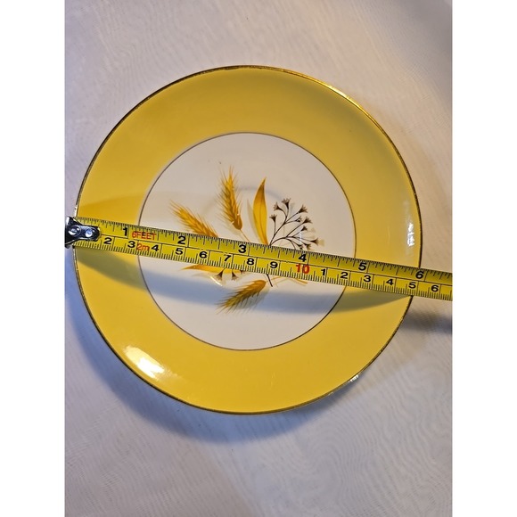 Vintage ~Century Service ~ Autumn Gold ~Set Of 2~ 6inch And 7inch Plates~ USA - Picture 3 of 5